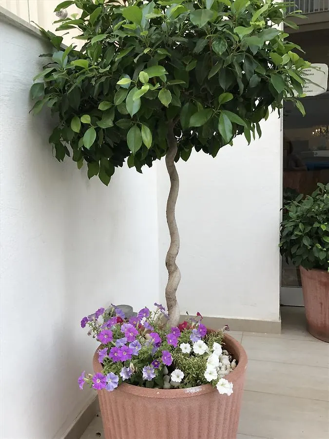 Slimiza Suites Sliema 2*,
